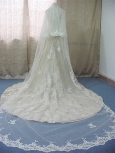 Изображение V005V005