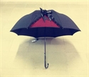 Picture of high fashion umbrella for ladies
