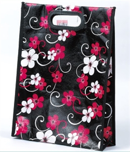 Image de LAMINATING NON-WOVEN SHOPPING BAGS