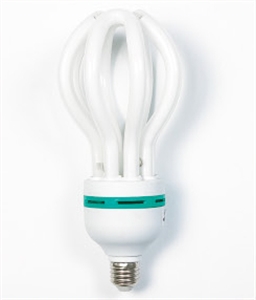LIGHT BULB