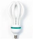 Picture of LIGHT BULB