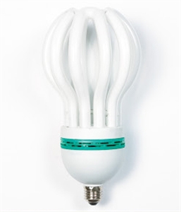 Picture of LIGHT BULB