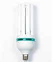 Picture of LIGHT BULB
