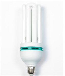 Image de LIGHT BULB