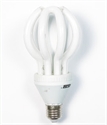 Picture of LIGHT BULB