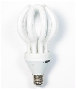 Picture of LIGHT BULB