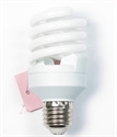 Picture of LIGHT BULB