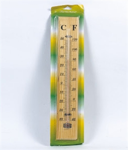 THERMOMETER