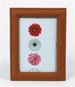 Picture of PHOTO FRAME
