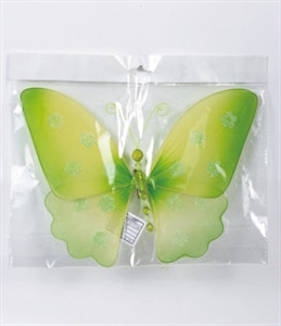 Изображение butterfly