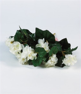 Plastic flower の画像