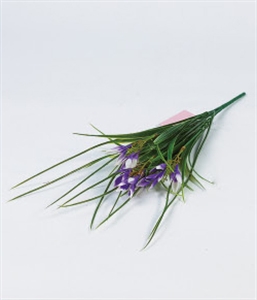 Image de Photo Frame