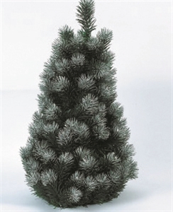 Изображение DECORATION