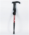 Picture of ski pole