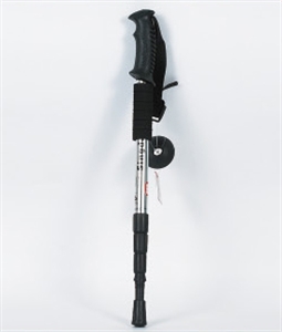 Image de Walking Stick