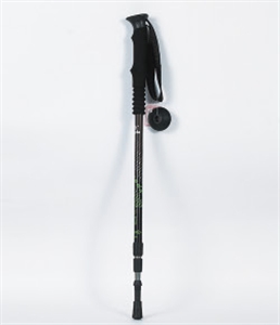 Image de ski pole