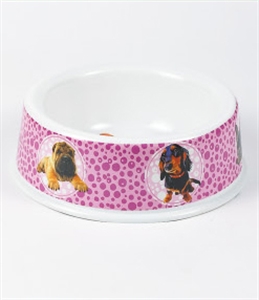 Image de PET BOWL