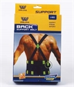 Picture of BACK SUPPORT BELT