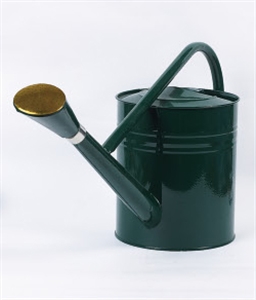 Image de WATER POT