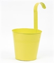 Picture of FLOWER POT