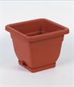 Picture of FLOWER POT