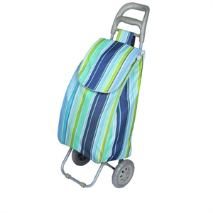Agrandir l'image de Shopping trolley bag XY-404B2 Image de Shopping trolley bag XY-404B2