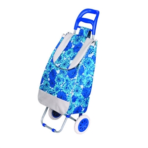 Picture of Shopping trolley bag XY-404A